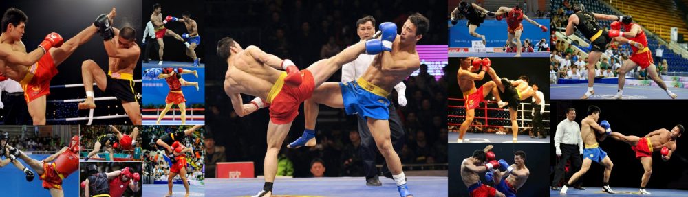 پرشین ووشو دات کام